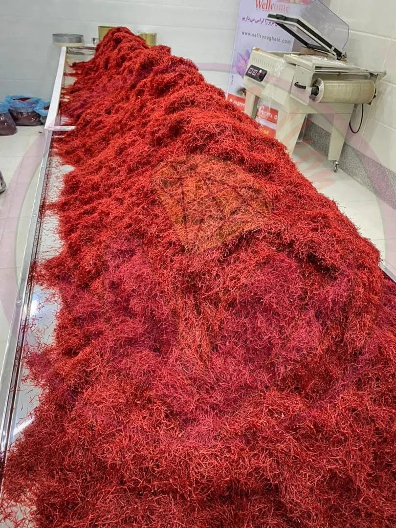 Saffron Price In Qatar + Where To Buy Saffron In Qatar? Ana Qayen