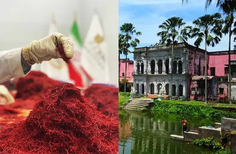 Jafran Price In Bangladesh "2024" + Saffron Price In Bangladesh