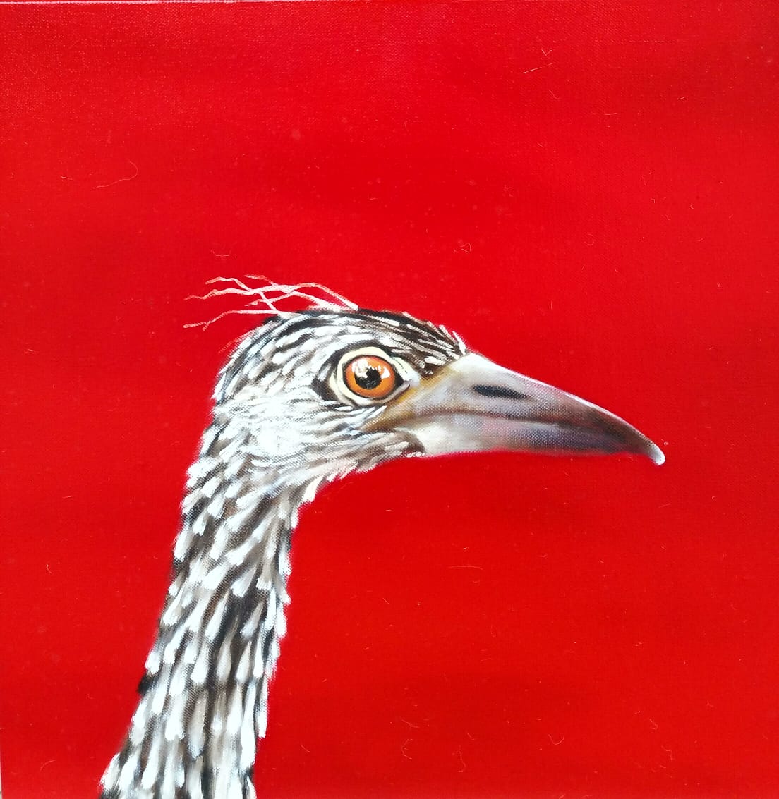 PLM06M Anasha Art An Art Gallery