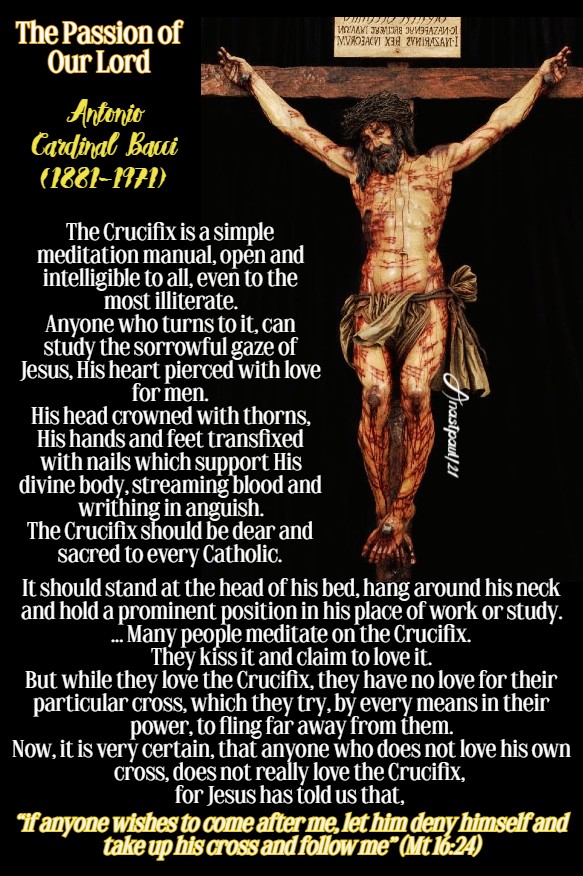 Thought for the Day 27 March The Passion of Our Lord AnaStpaul