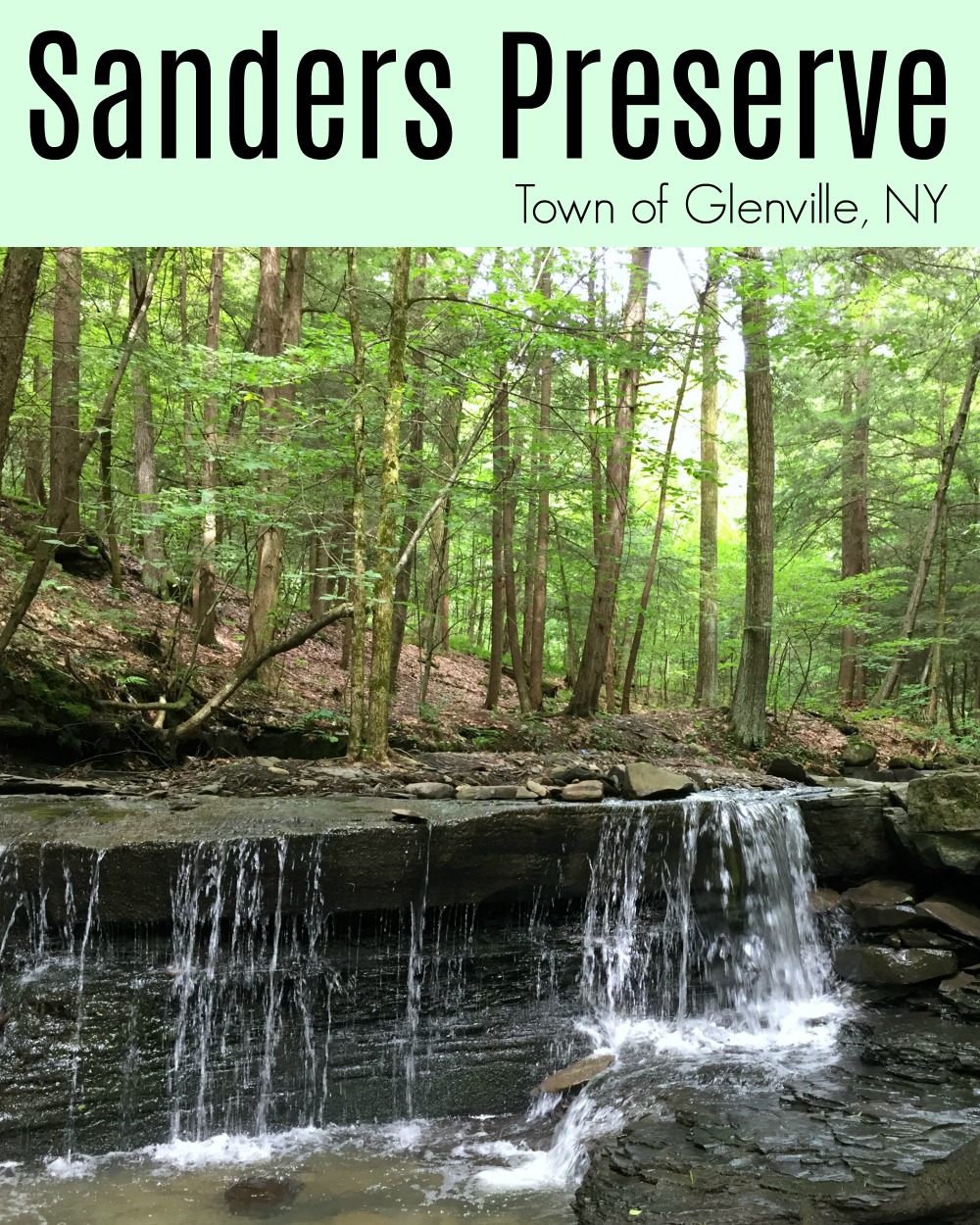 Sanders Preserve, Glenville, NY A Nation of Moms