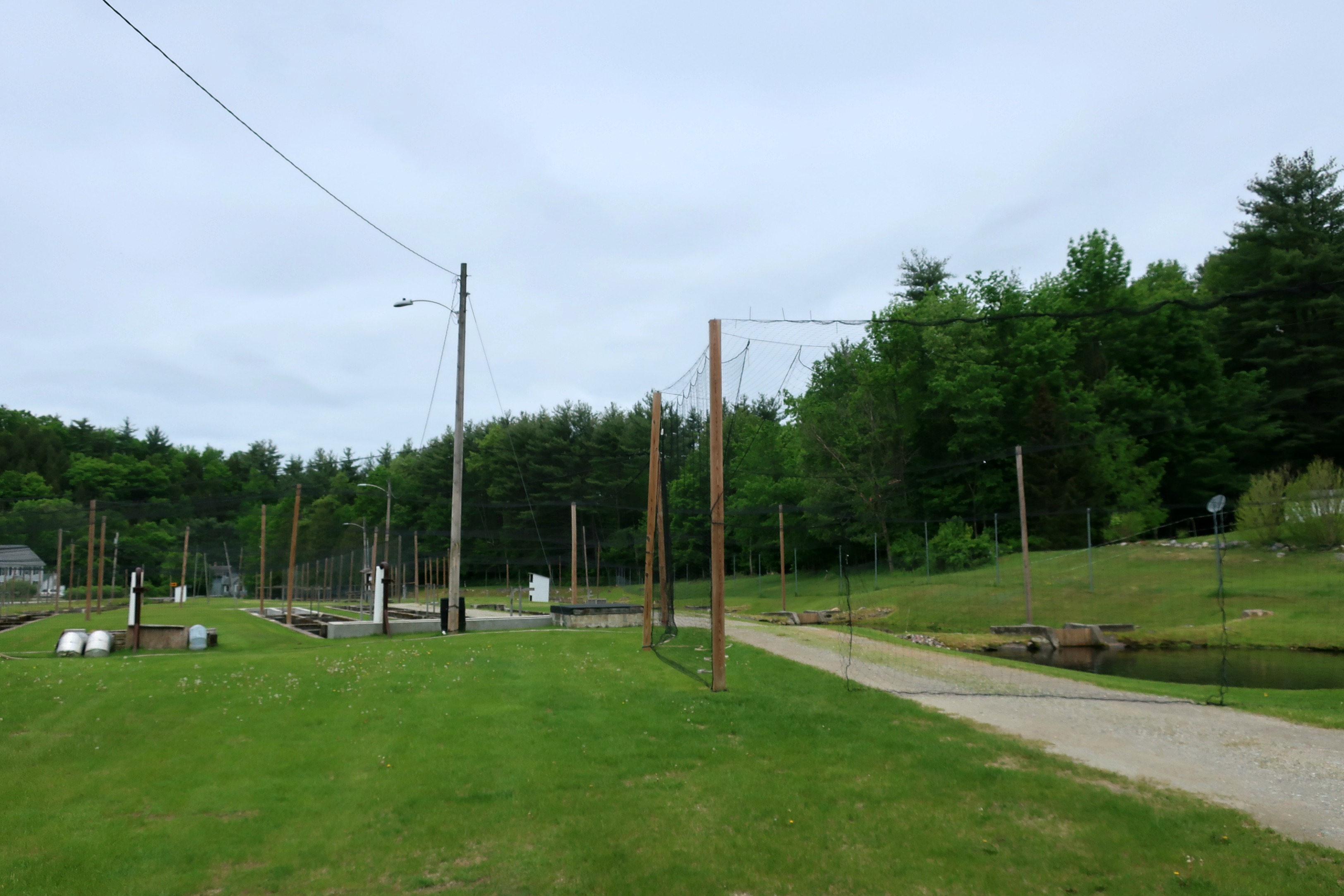 Bennington Fish Hatchery, Vermont A Nation of Moms