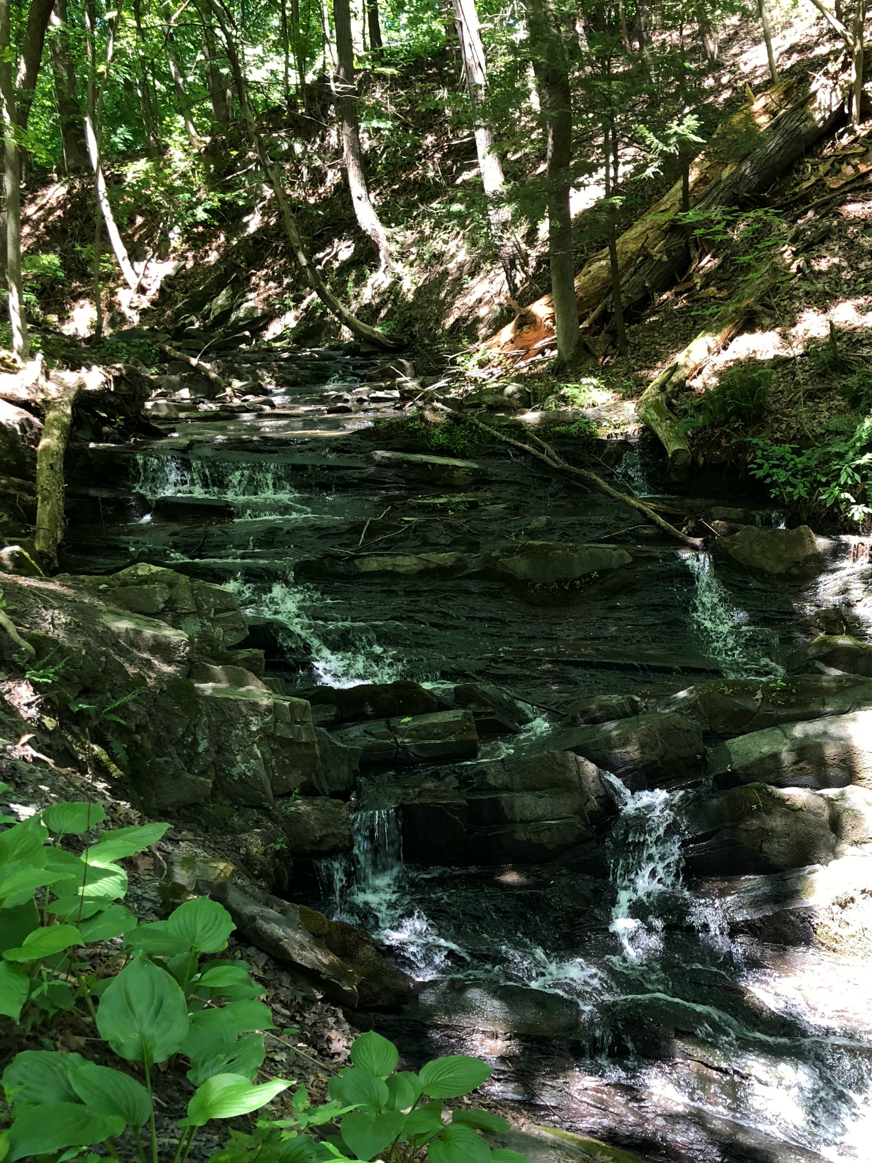 Falling Waters Preserve, Saugerties, NY A Nation of Moms