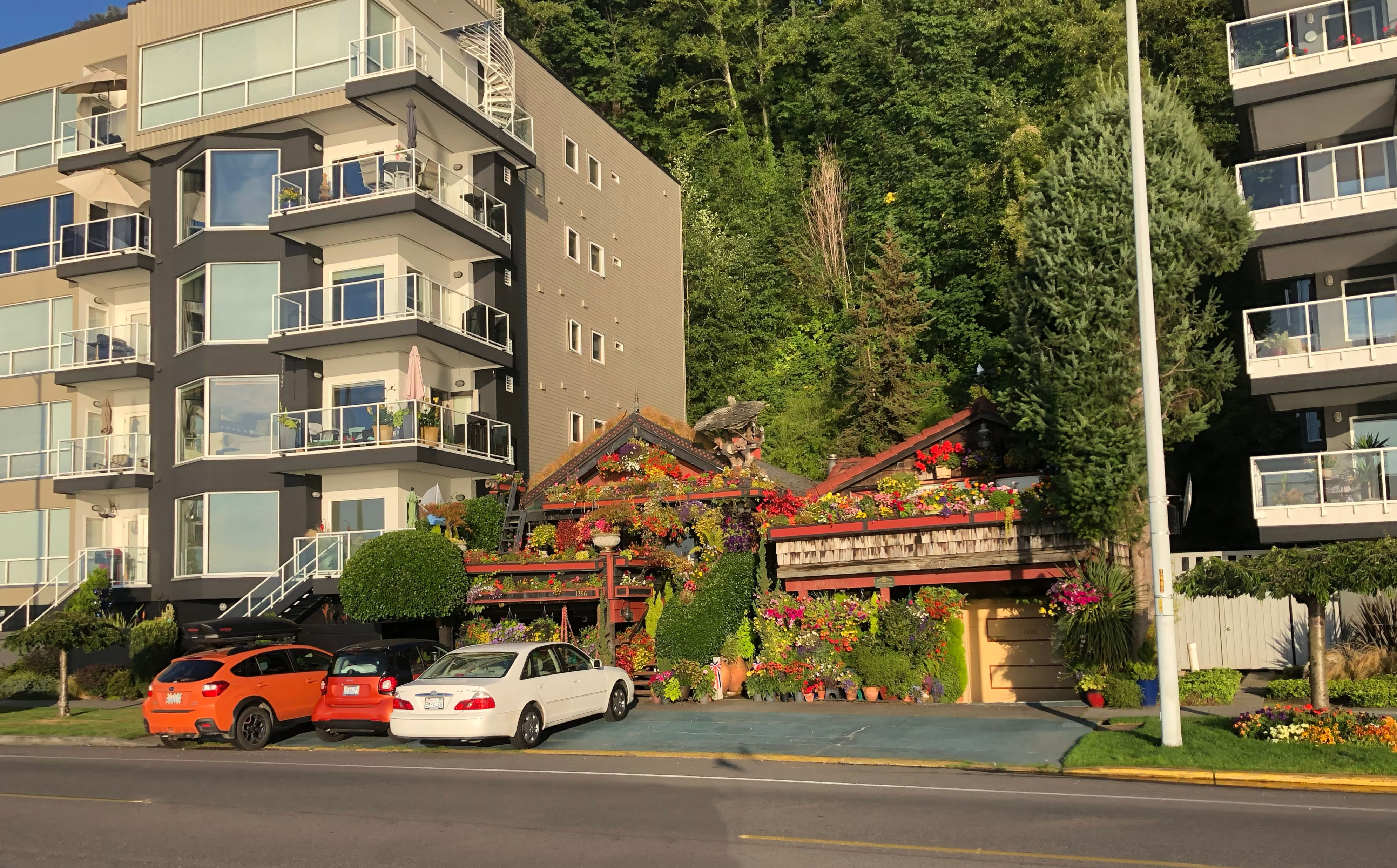 Wheel Fun Rentals, Alki Beach, Seattle A Nation of Moms