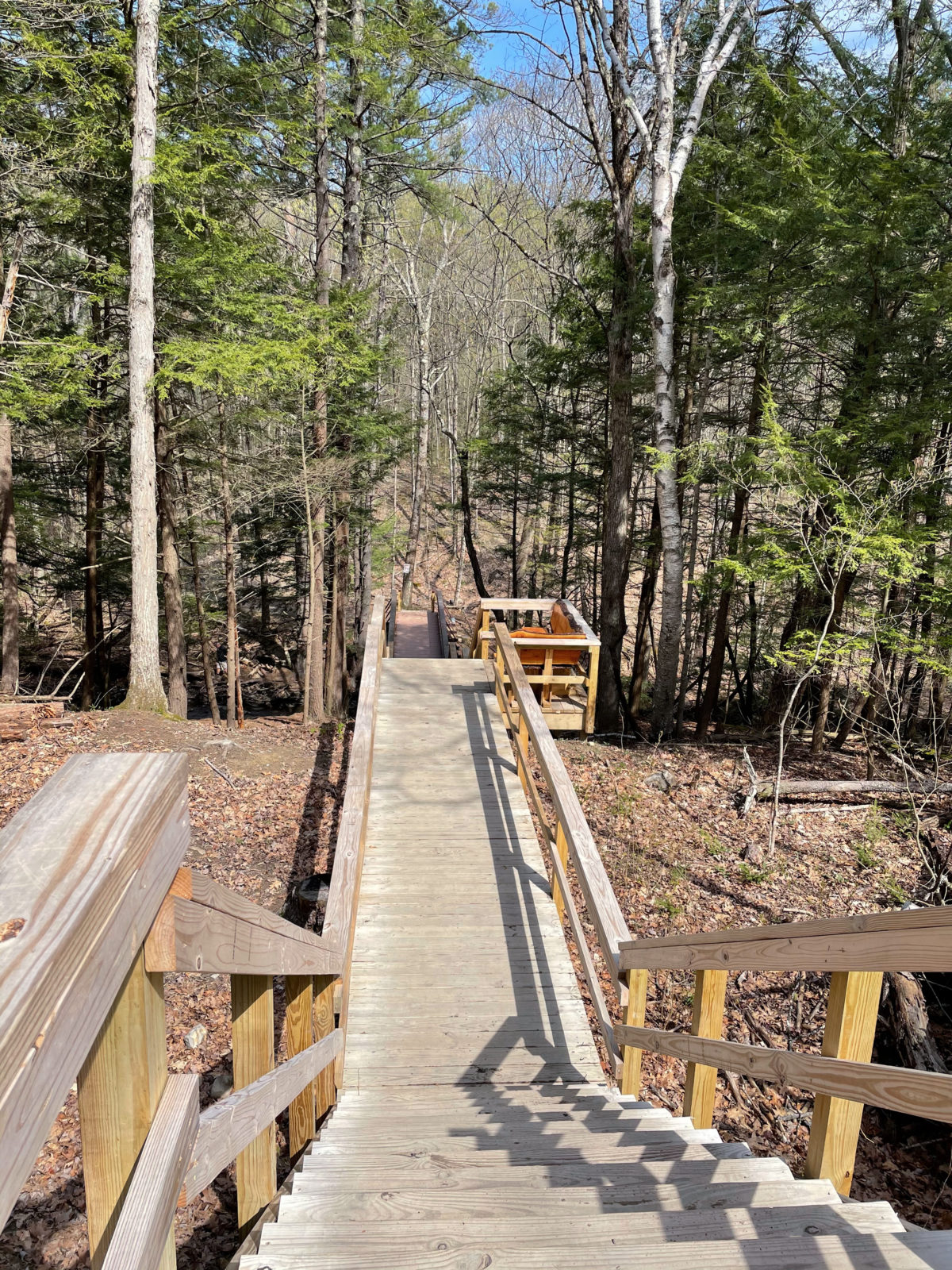 Plotter Kill Preserve, Schenectady, NY A Nation of Moms