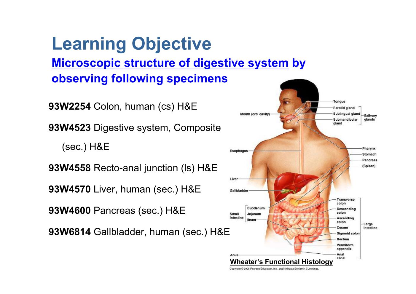 Block102/Learning Objective