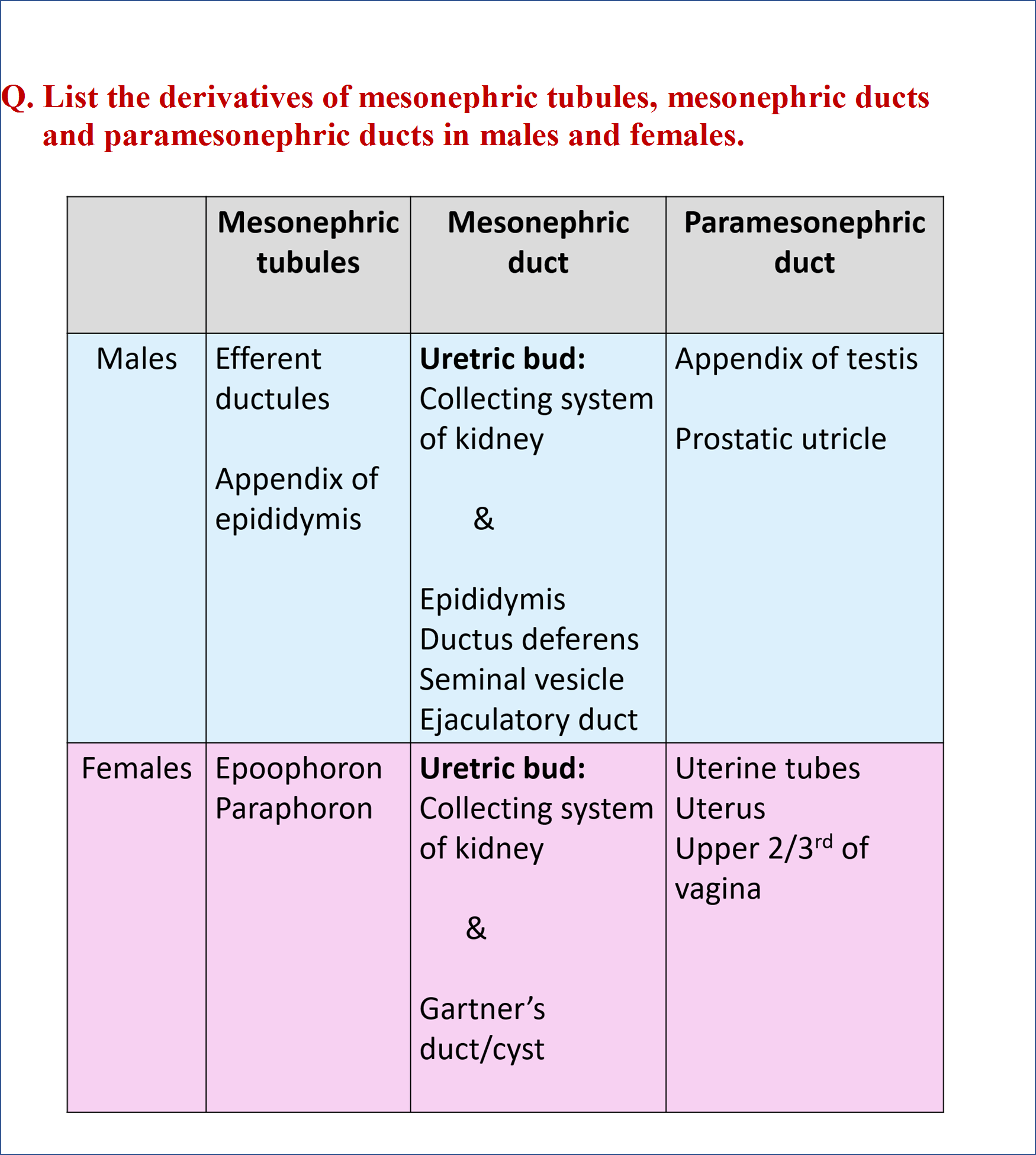 Development of Gonads and Genital ducts Anatomy QA
