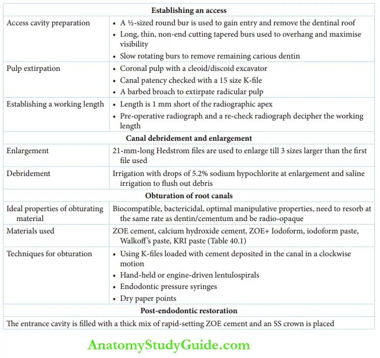 Pulpectomy In Primary Teeth Notes Anatomy Study Guide