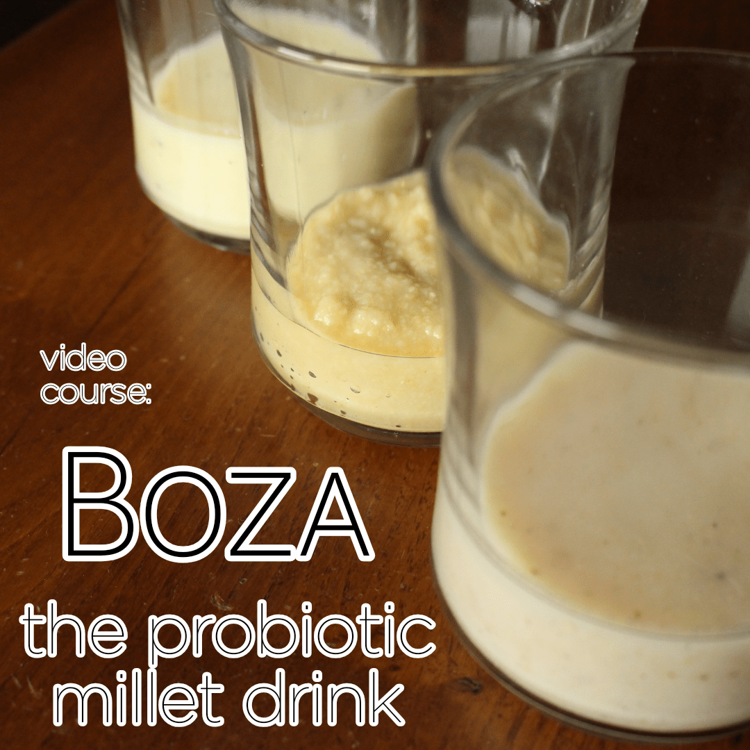 Video Course Boza The Probiotic Millet Drink Ancestral Kitchen