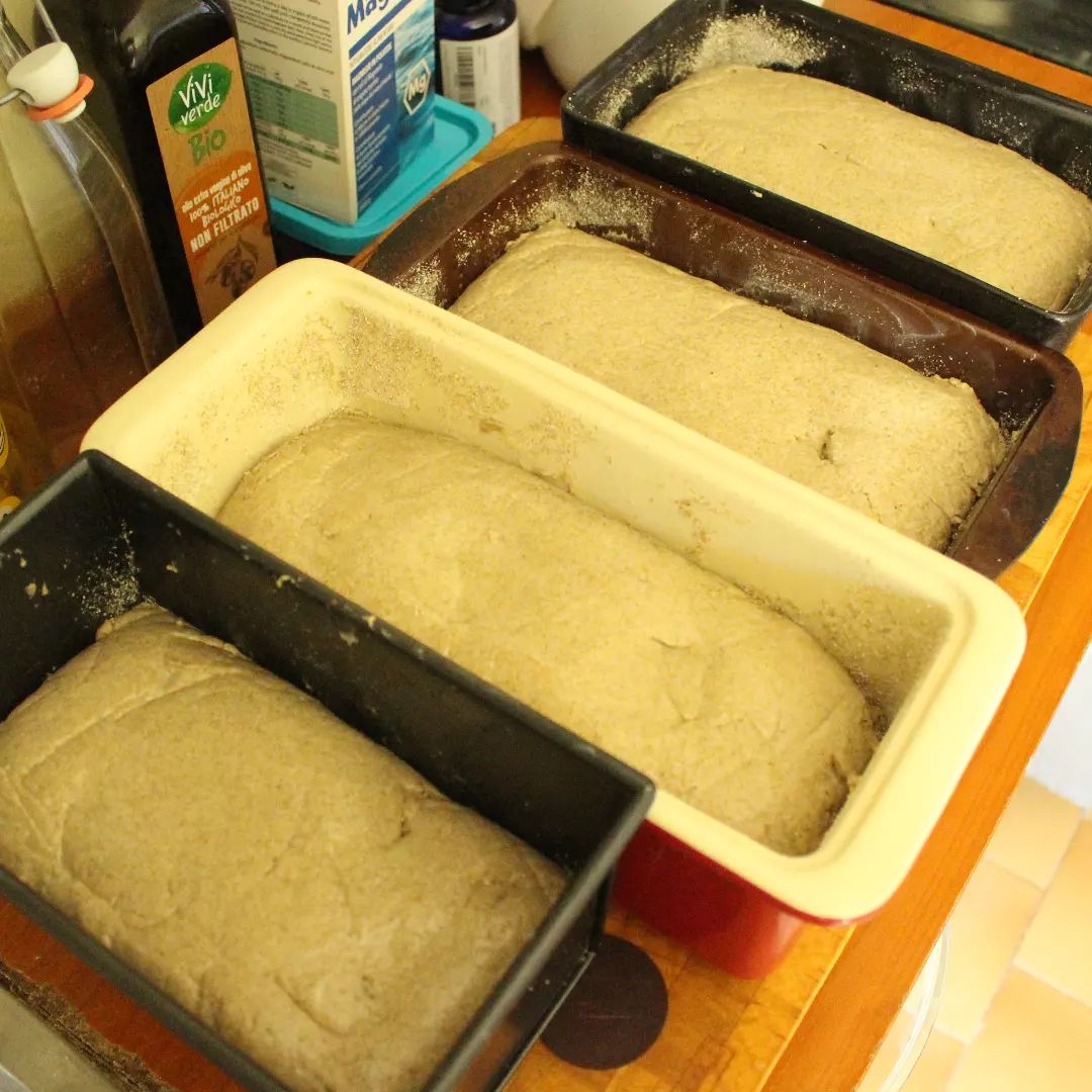 Let me talk to you about bread pans ) . Here we have four rye breads