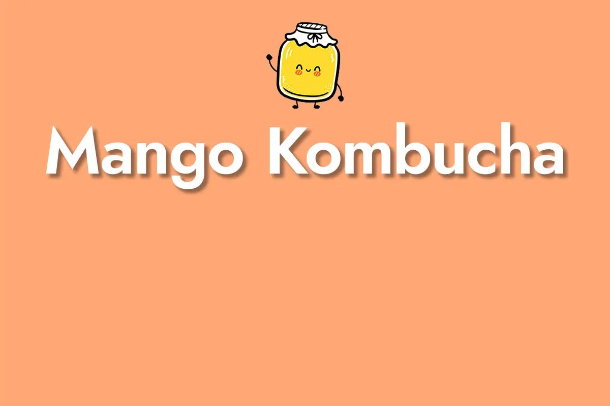 Mango Kombucha Kombucha ancestral