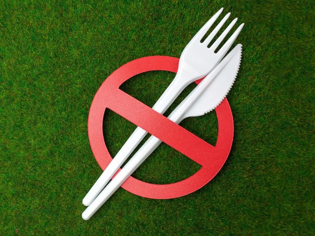 6 Sustainable Alternatives to SingleUse Plastic Cutlery 2024