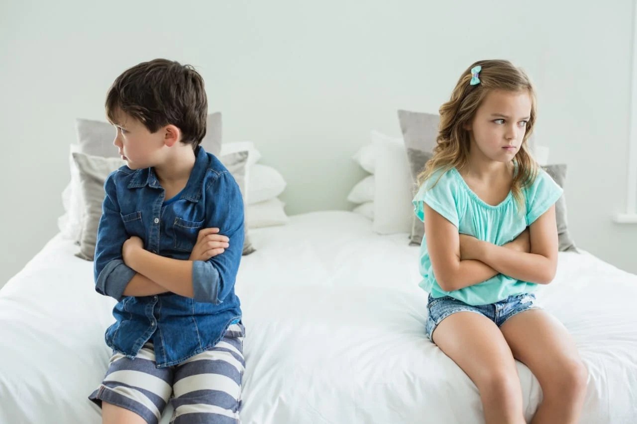 5 Situations Leading to Sibling Fights and How To Handle Them Anchor Light Therapy Collective