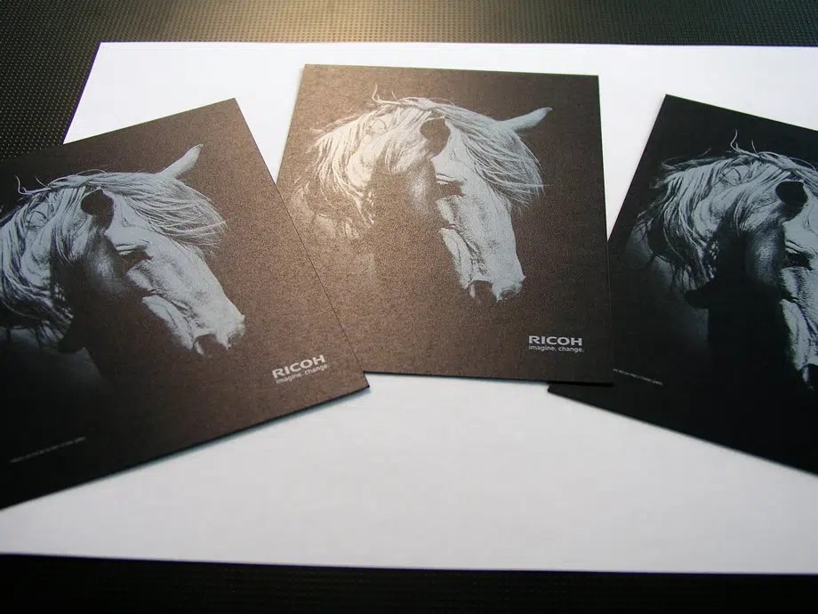 AnchorPointe Graphics White Ink Printing & Clear Toner Printing