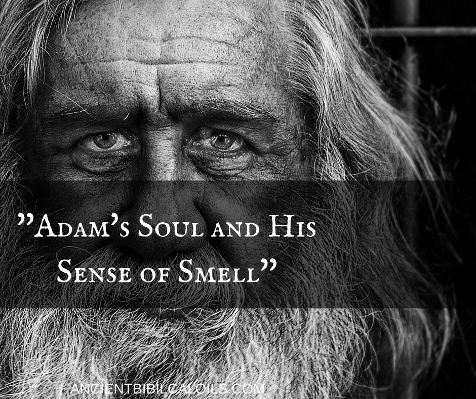 ”Adam’s Soul and His Sense of Smell!” Ancient Biblical Oils