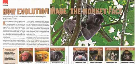 WHY ALL MS Media bombard us with massive Darwinist propaganda!?