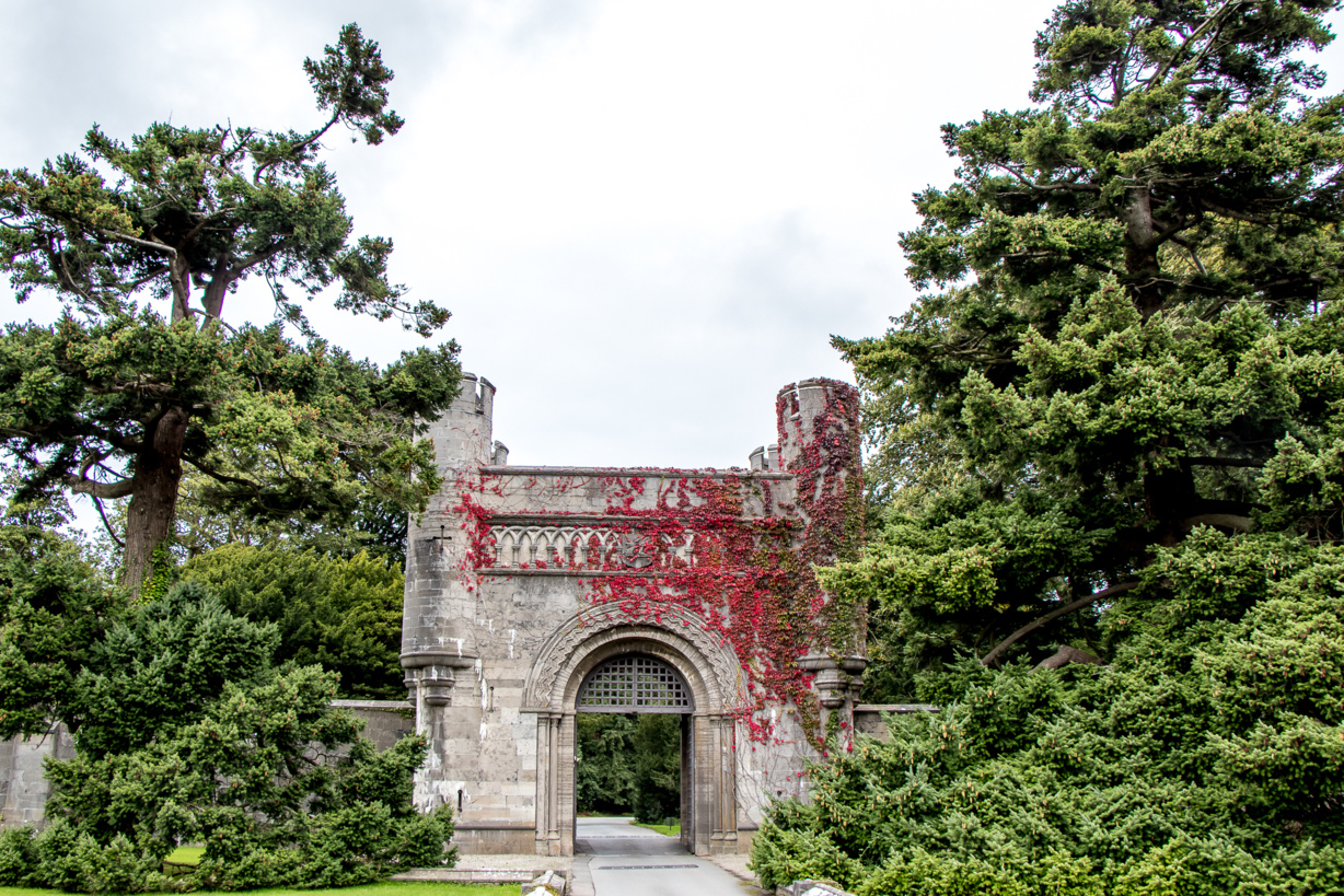 Mold Castle Anciient