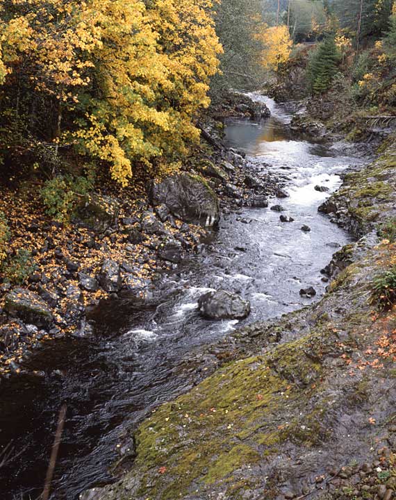 Wilson River, Oregon