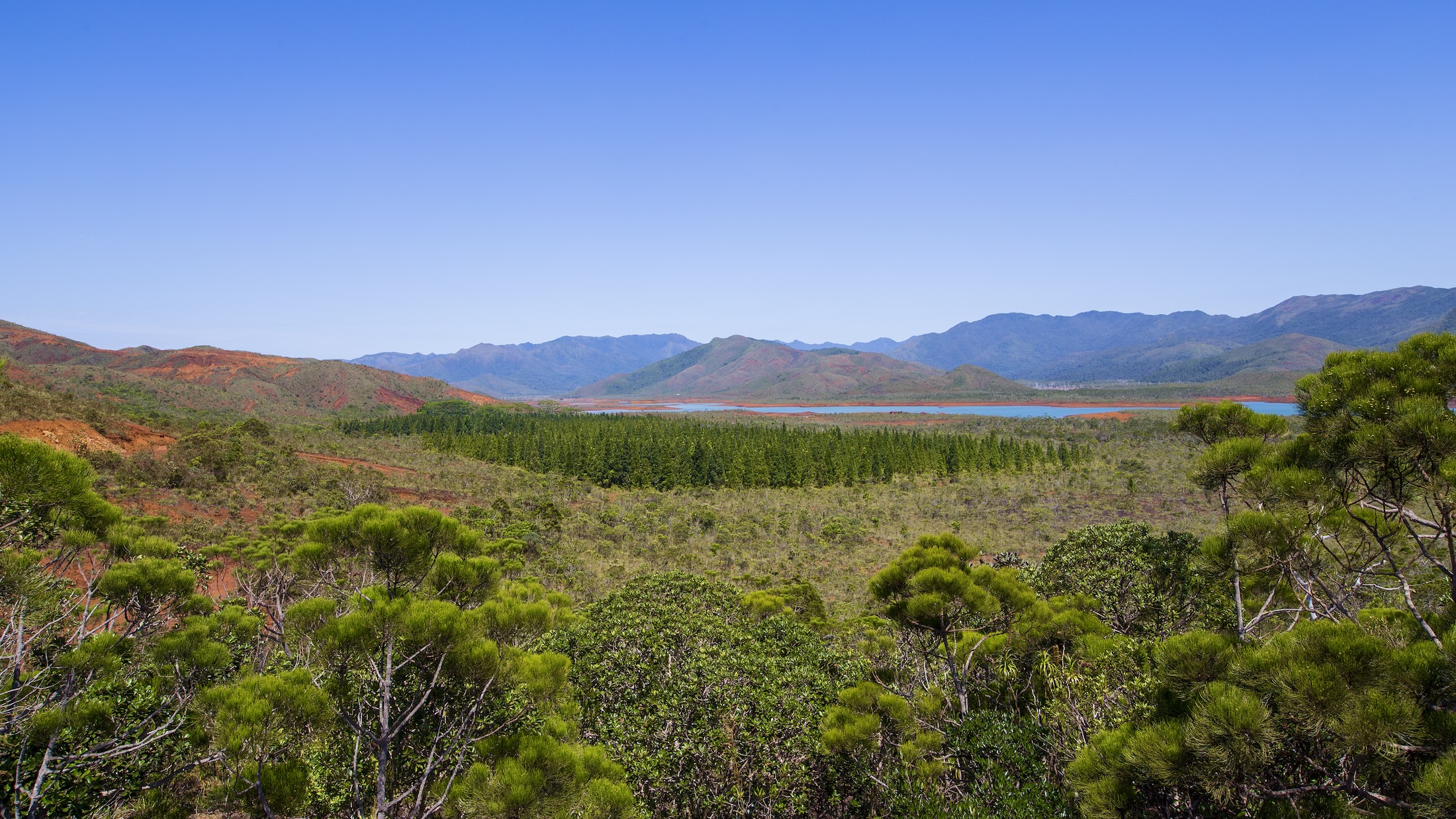 BLUE RIVER PROVINCIAL PARK NEW CALEDONIA
