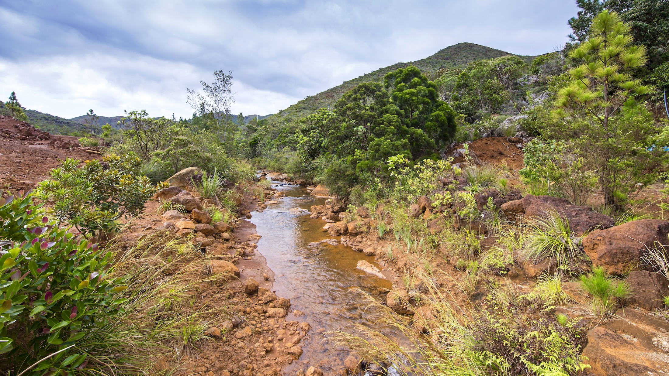 BLUE RIVER PROVINCIAL PARK NEW CALEDONIA