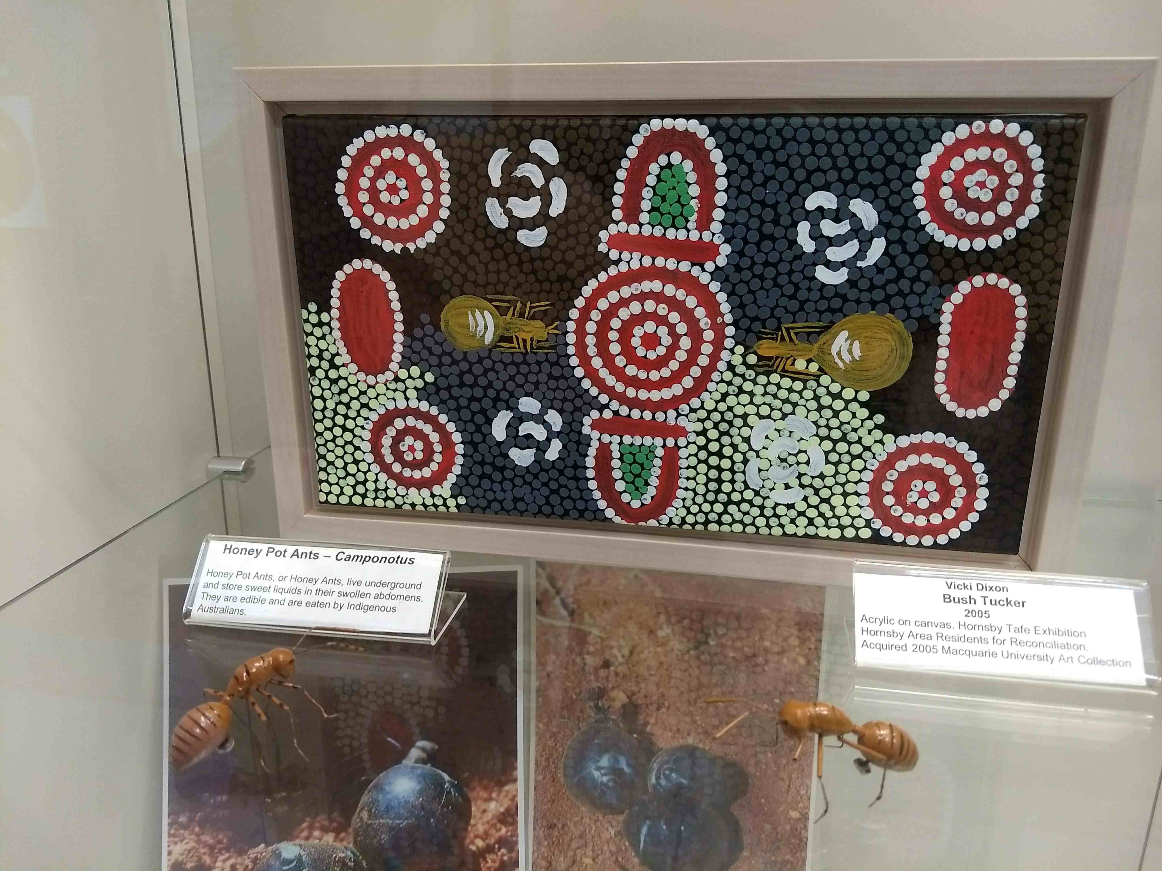 Depictions of Honeypot Ants (that aren't porn) • Andrew Burchill