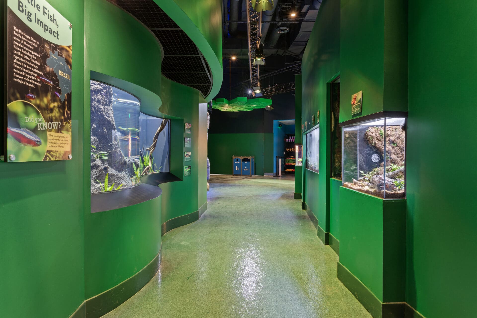 Changing Tides Exhibit Mississippi Aquarium » AnderCorp