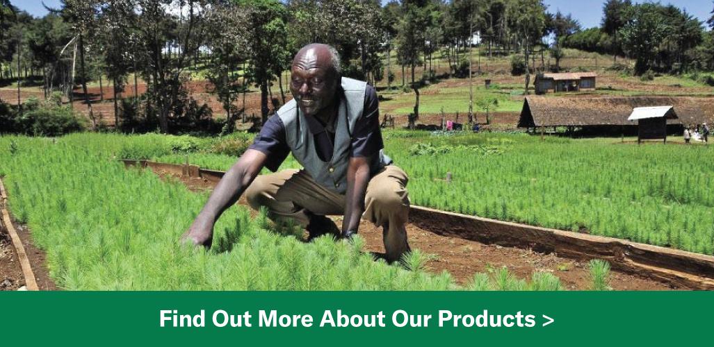 Kenya Our Locations Andermatt Africa