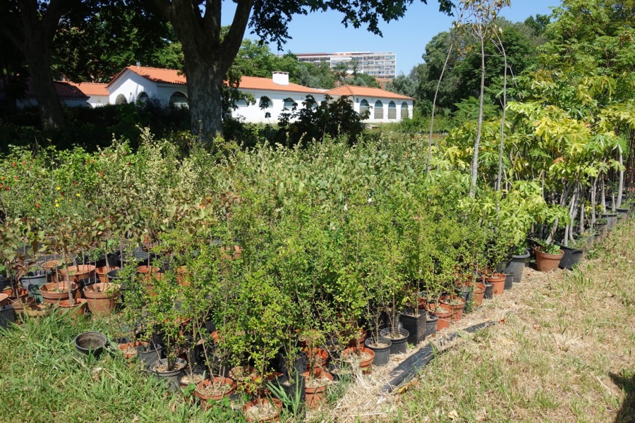 Quinta Conde dos Arcos ANDES SEM PARAR