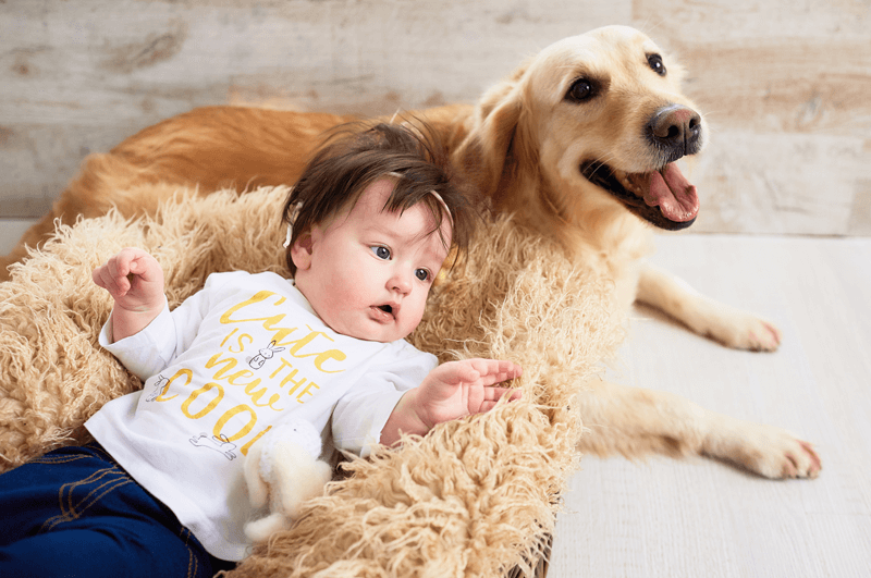 André Baby Brussels Le bébé et les animaux domestiques