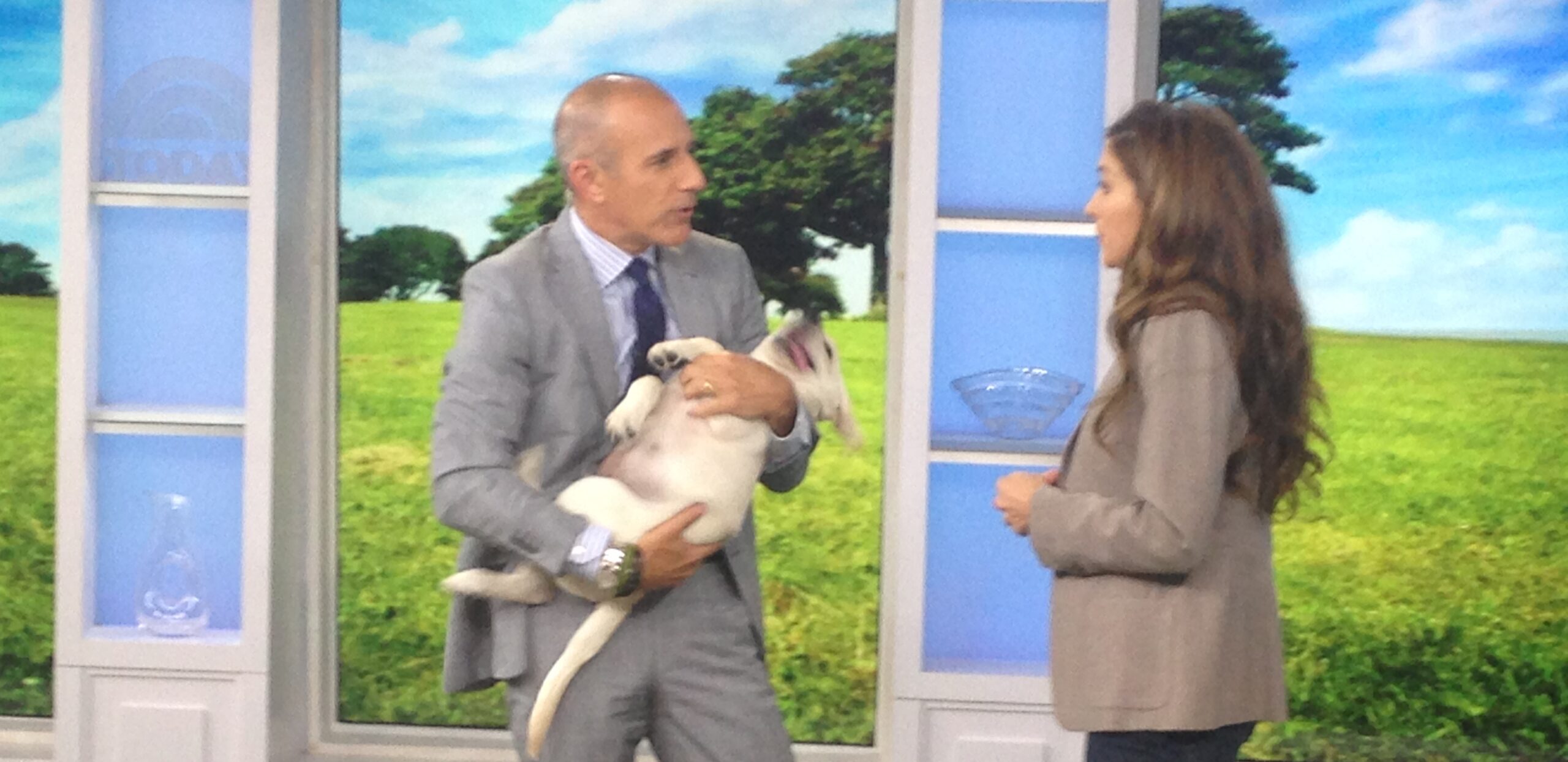 Dog and Cat Obesity As Seen on The Today Show Andrea Arden Dog Training