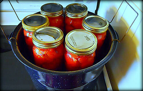 Canned Tomatoes Andrea Dekker
