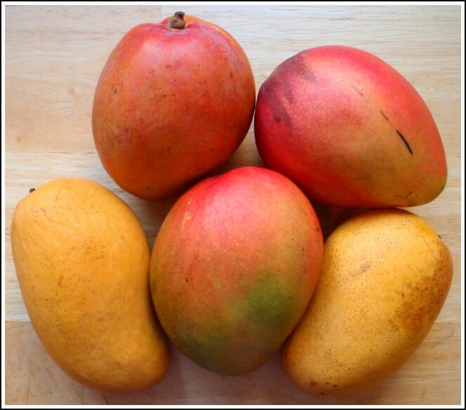 How to Peel Difficult Fruit Andrea Dekker