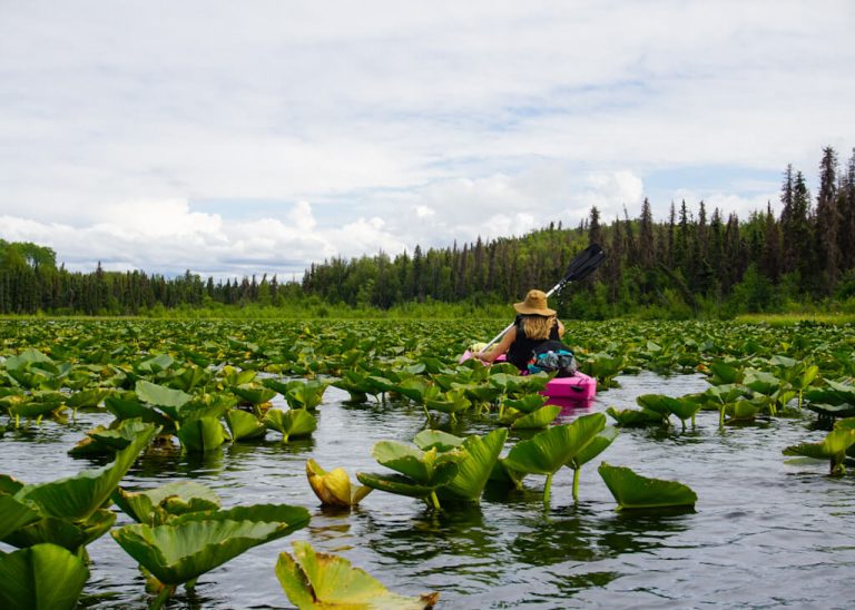 Swan Lake Canoe Trail What You Need to Know + Directions