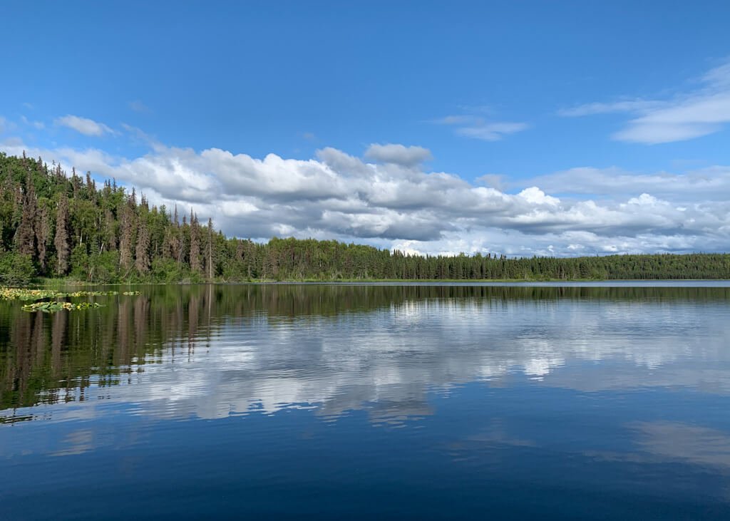Swan Lake Canoe Trail What You Need to Know + Directions