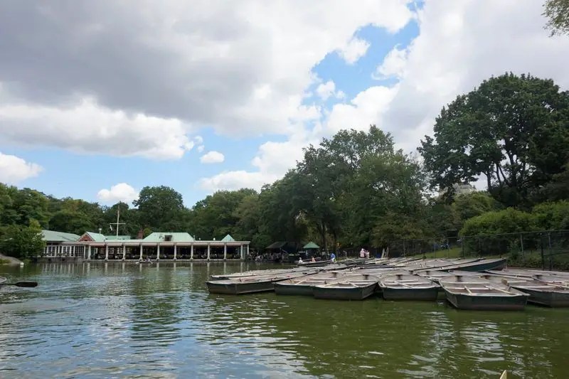 Row Boating in Central Park, New York City Andrea Peacock