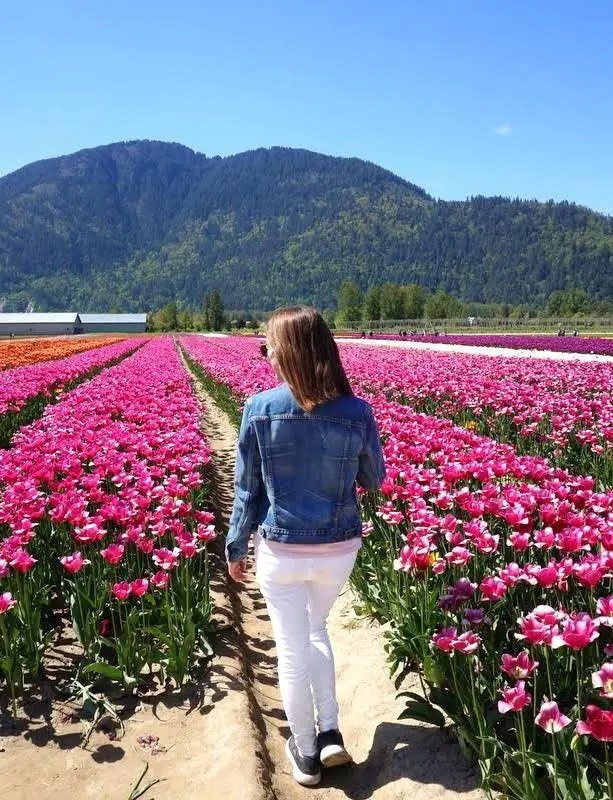 Visiting the Chilliwack Tulip Festival near Vancouver, B.C. Andrea