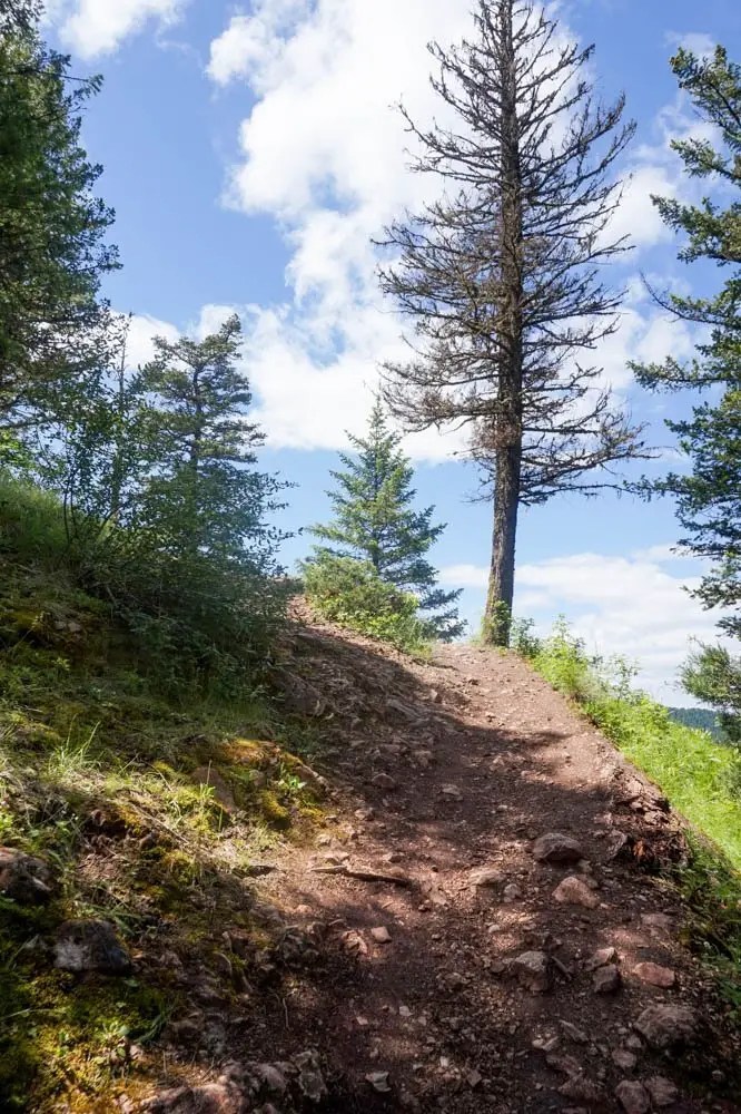 Kamloops Hiking Guide 3 Easy Hikes You Cannot Miss Andrea Peacock