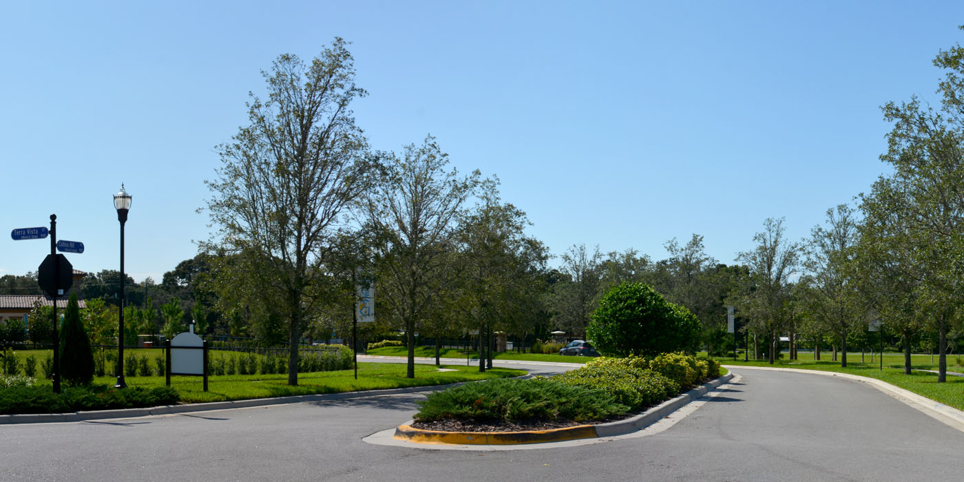 La Collina Brandon, Florida Neighborhood Site Plan