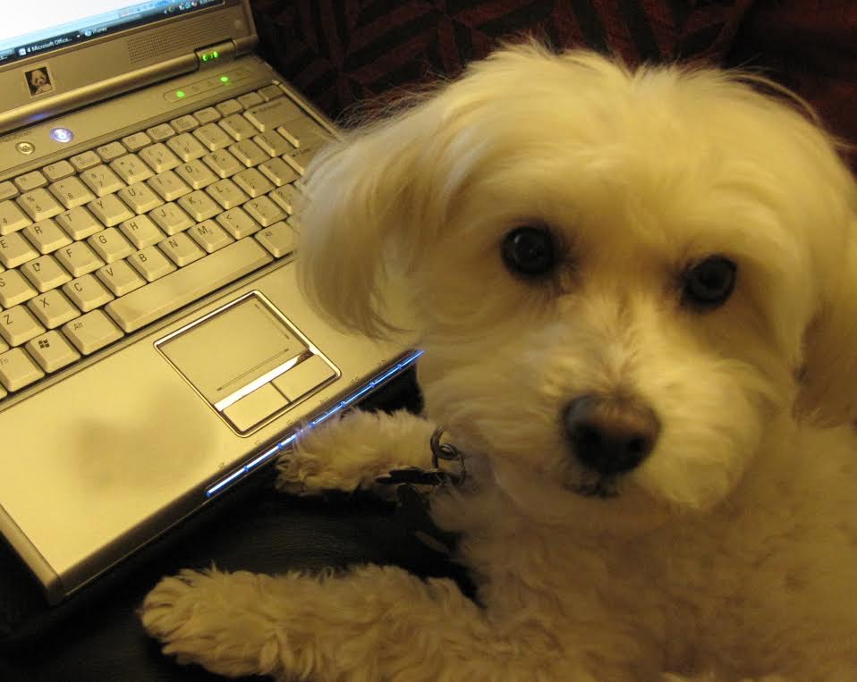 Tui Sutherland’s Studio Tour Andrea Skyberg