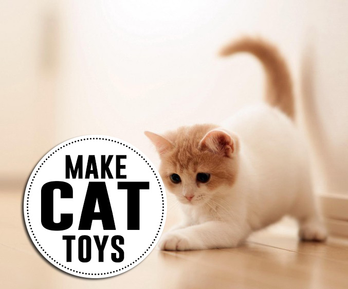 DIY cat toys Andrea's Notebook