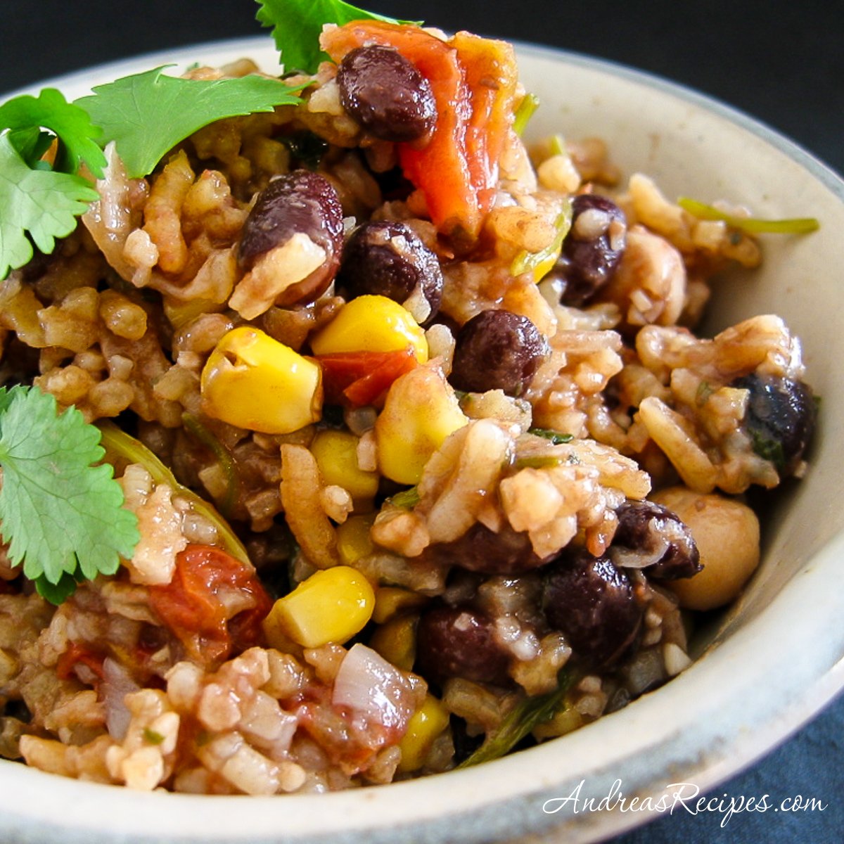 Red Rice and Beans Recipe Andrea Meyers