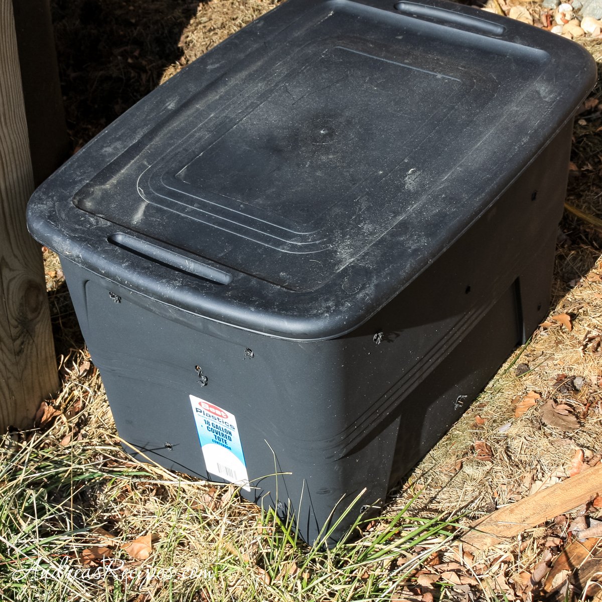 Compost Bin