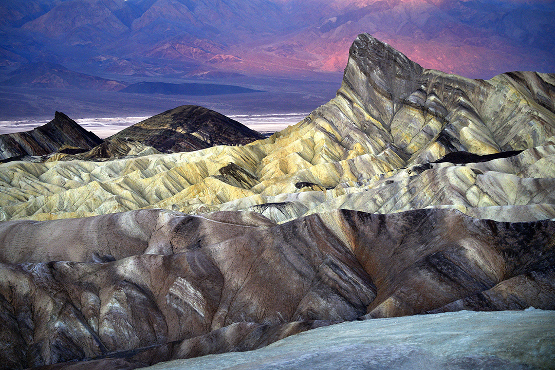 Ironwood Organics Andrée Thorpe Photography