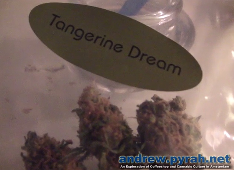 A Quick Joint of Tangerine Dream Barneys Amsterdam