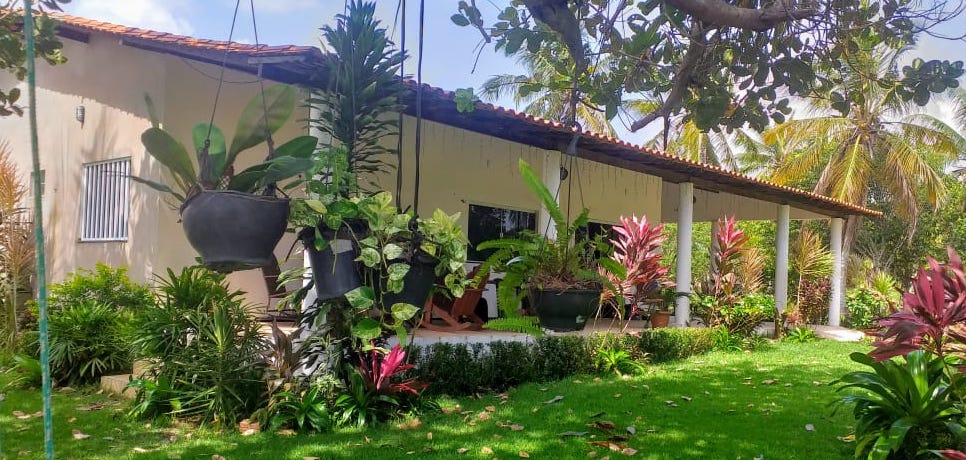 Snapshots of Missionary Life: Itacyara, How Does Your Garden Grow? – and Other Odds and Ends