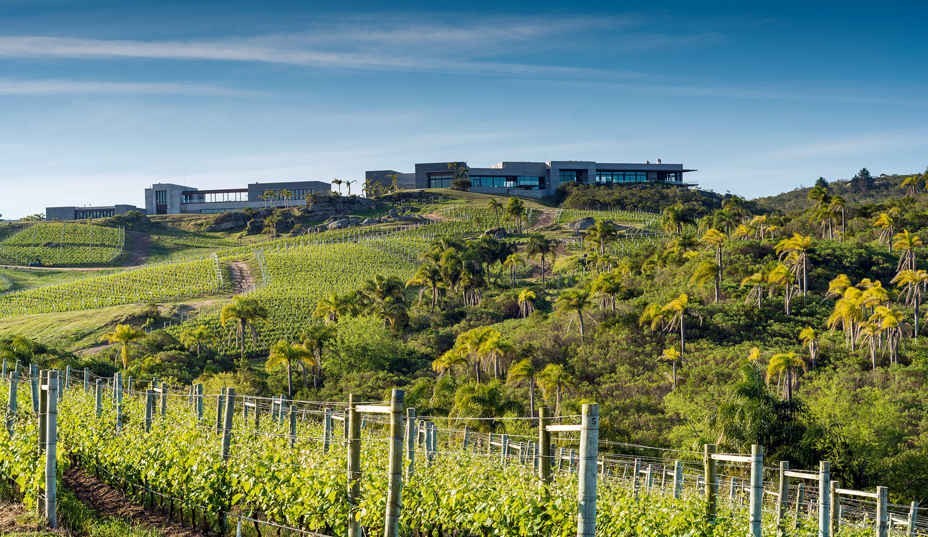 Most Memorable Tastings Andrew Harper