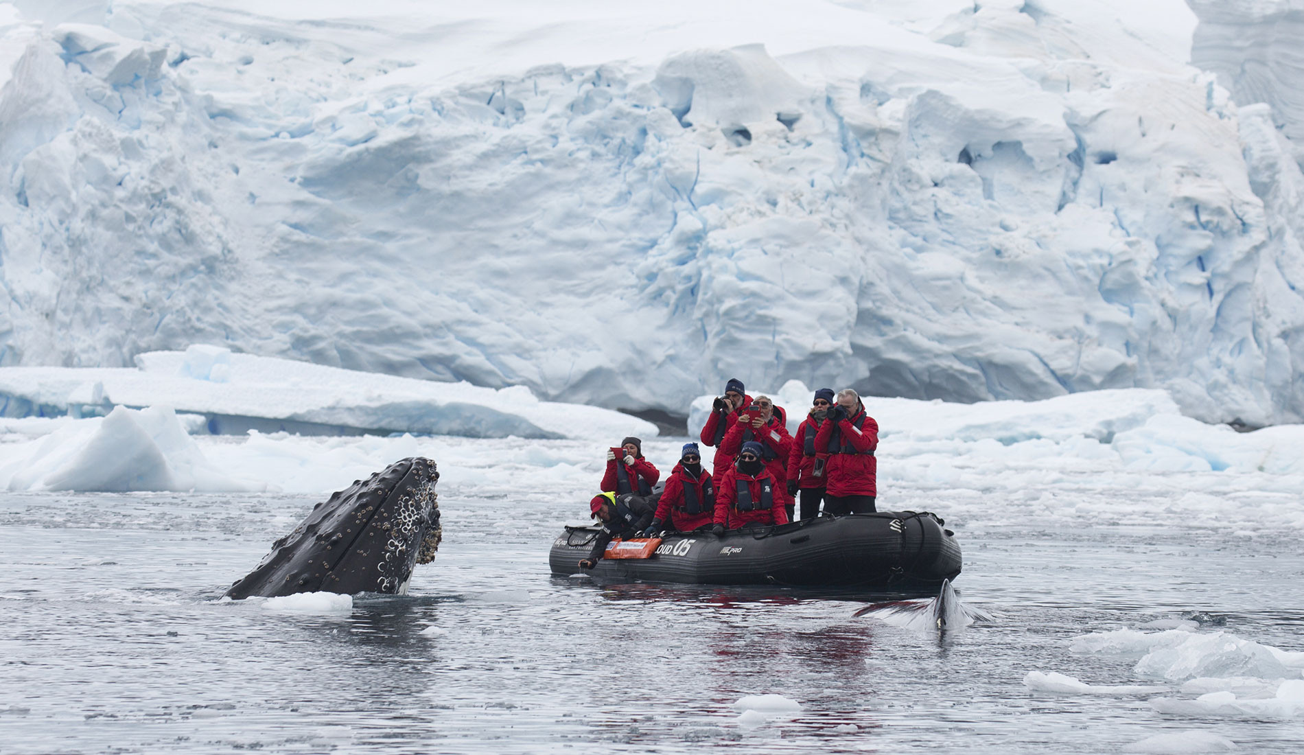 Member Photo Contest Andrew Harper