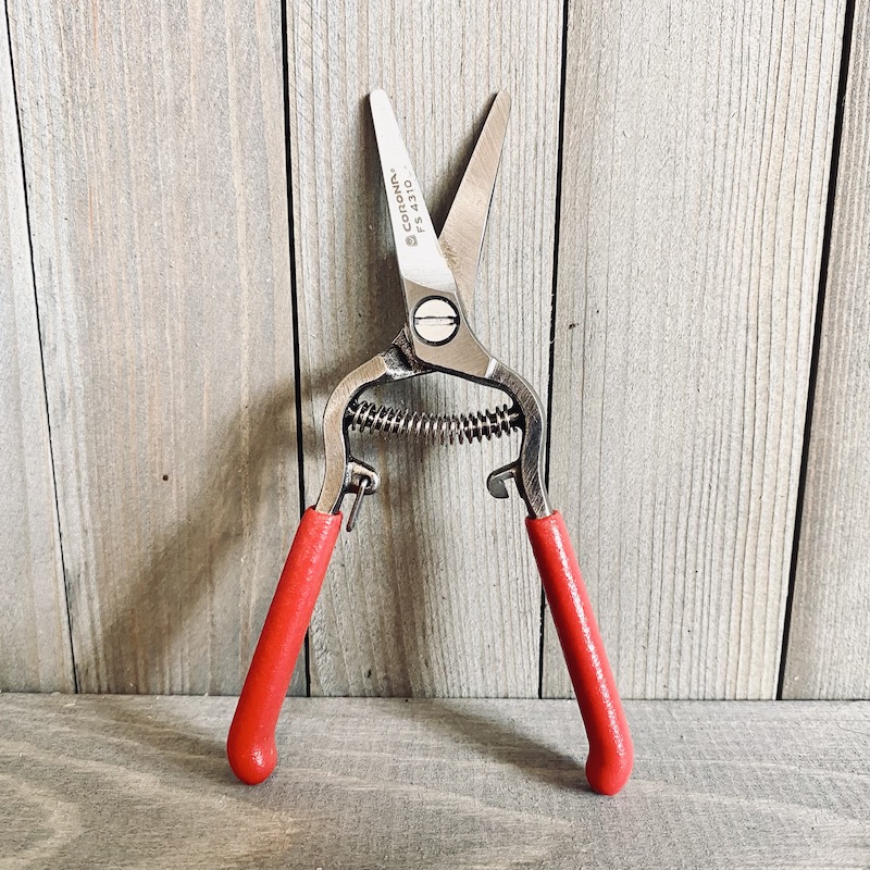 Corona Houseplant Shear Andrews Seed Company