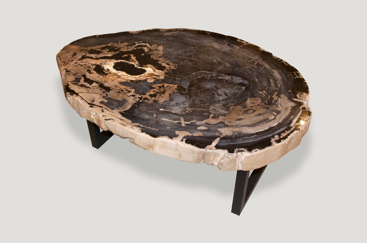 Rare High Quality Petrified Wood Slab Coffee Table 1734B Andrianna
