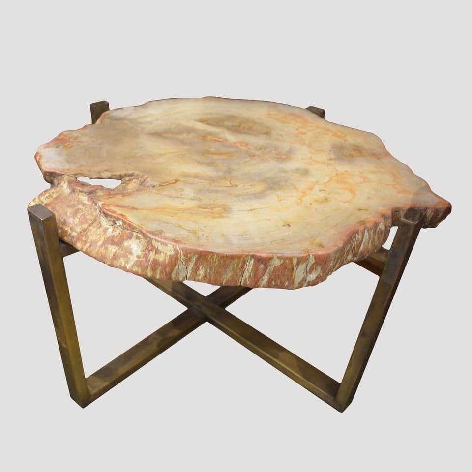 Beige Petrified Wood Slab Coffee Table or Side Table 48WP Andrianna